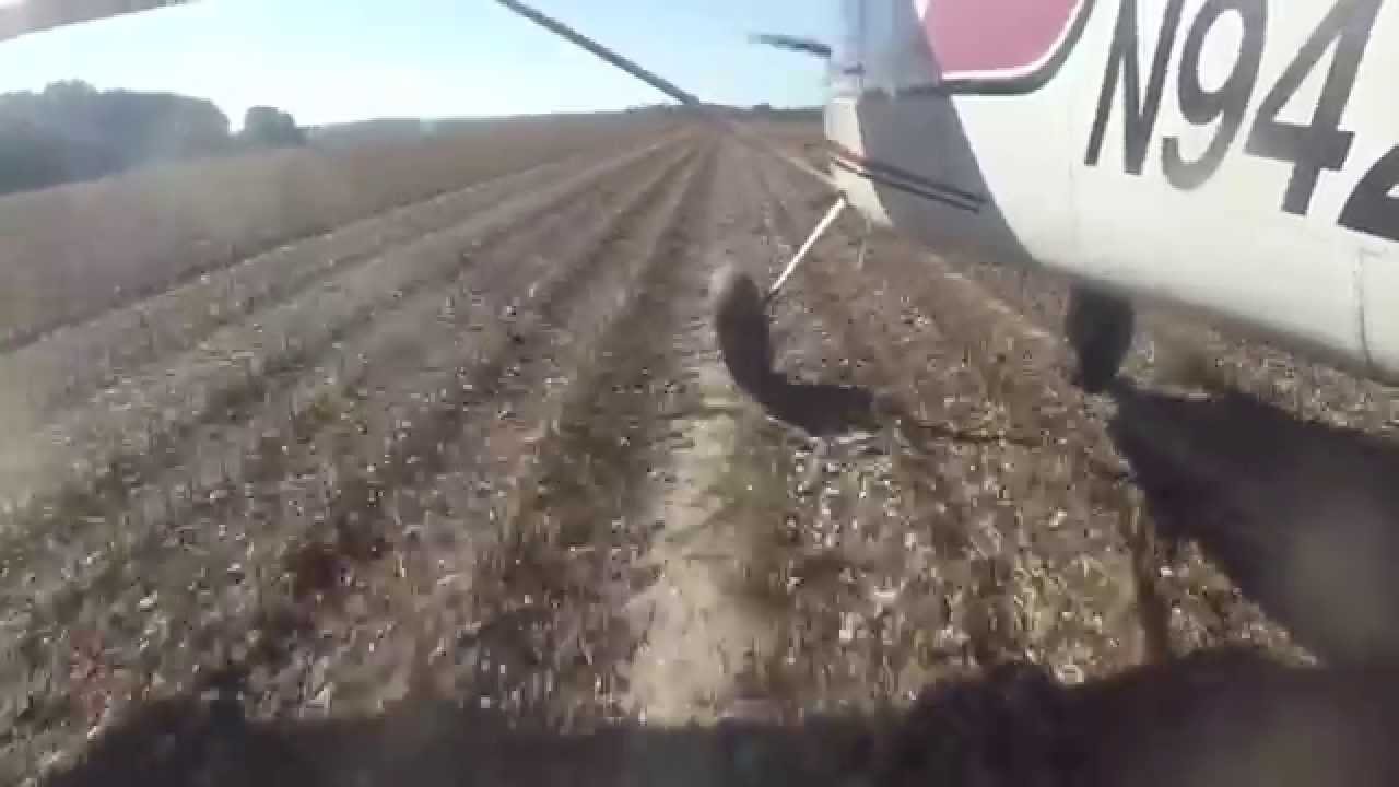 Cessna 180 Mississippi Bush Flying YouTube