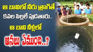 Twins Village in East Godavari | Mysterious Well Water in Doddigunta | Special Story |Sumantv Life