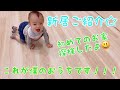 【ルームツアー・新築・一戸建て】子育て中の30才夫婦が建てるマイホーム紹介☆いるる(1才)の反応はいかに！？