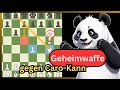 Geheimwaffe gegen Caro-Kann – Das spielte die Weltspitze!