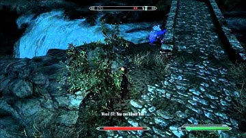 SKYRIM, playing with realistic lightening and colors mod