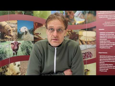 Video: Zdravje Dlake In Kože Kot Pokazatelj Prehranskega Stanja