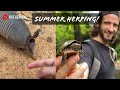 Summertime Snakes and Turtles: Walking Creeks and Roadcruising in Metro Atlanta! (Baby Armadillos!)