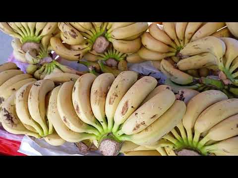 المليح ديال الديسير الا ما بغيتوش ديروا لنا قليب