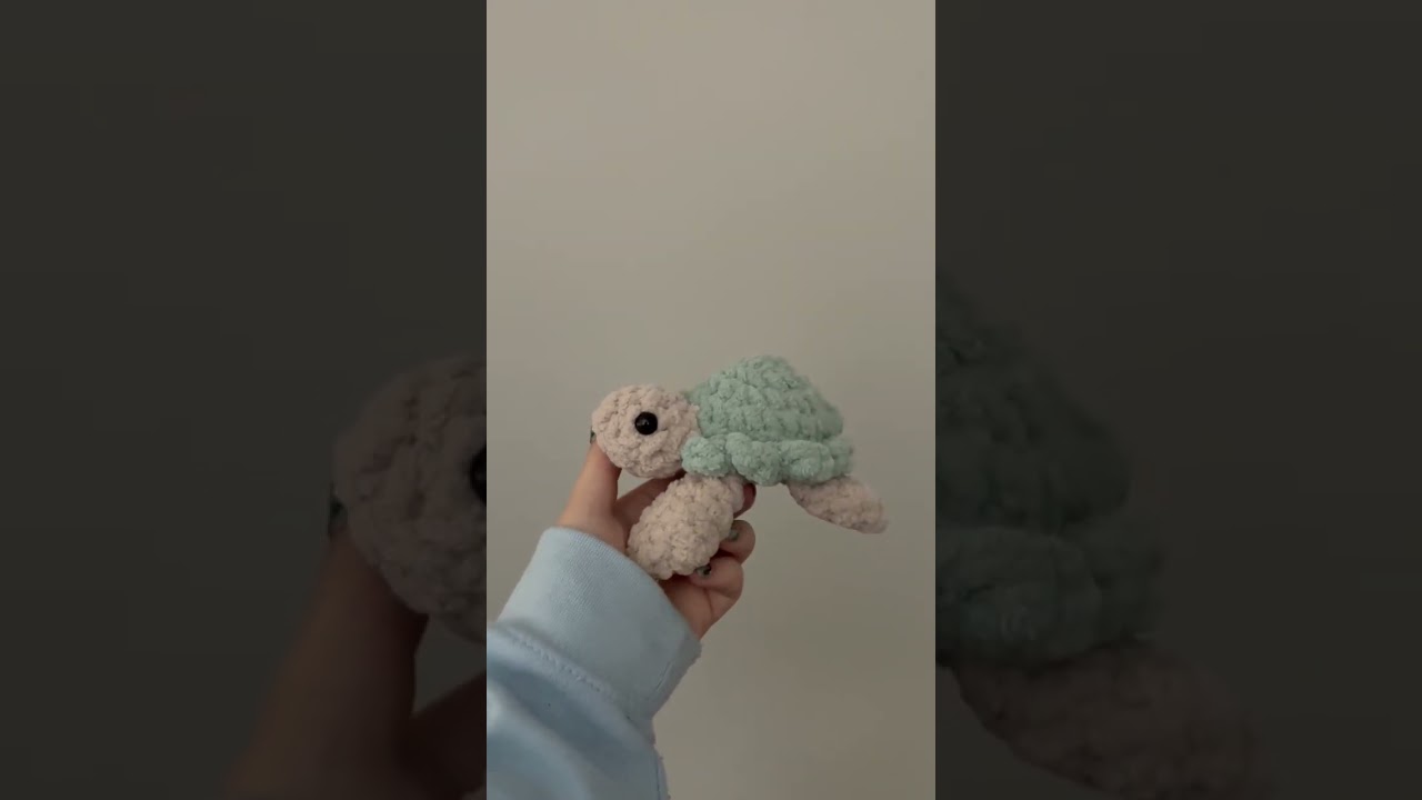 what colour shell would you choose