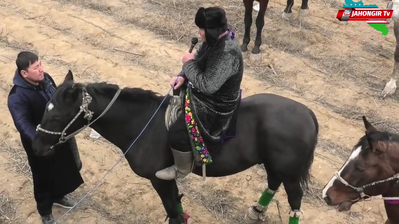 SIRDARYO MIRZAOBOD UMURZOQOVLAR KOʻPKARISI 02.02.2026-Y