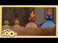 Saklanıyor | Twirlywoos Türkçe | Çocuklar için Videolar