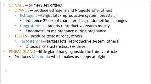 2402 Lecture Ch 16 Endocrine System PowerPoint Screencast 6