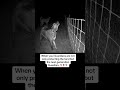 No music just pure audio of the LGD responding to howling yotes