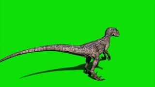 no copyright #jurassicpark #greenscreen #dinosaurus #jurassicworld