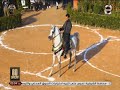 60شو القواعد الفنية لبطولات الخيل مع الفارس عواد أبوعيدة محكم مسابقات أدب الخيل