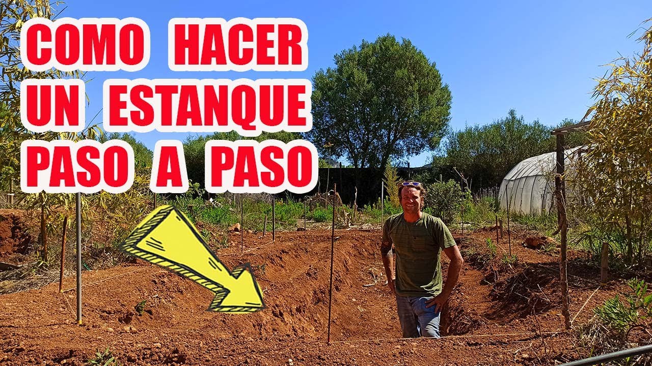 Jornada DIY ¡Construye tu estanque para el jardín!