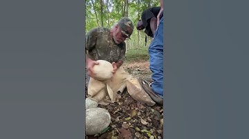 Spalling TN flint #novembersouth #primitiveskills #flintknapping #coolstuff #bushcraft #stonetools