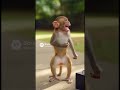#dogshorts #funny #monkeyvideo