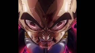 Vegeta I Didnt Care Anymore