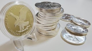 2021 Type 2 American silver Eagle- stack it or collect it?