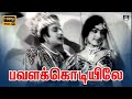 Pavalakodiyile Video Song HD | பவளக்கொடியிலே Song | Panam Padaithavan | M.G.R |K.R.Vijay |TMS.