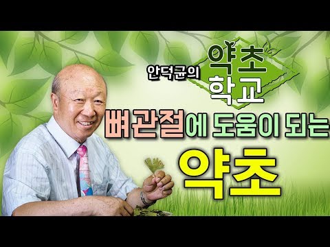 보스웰리아효능