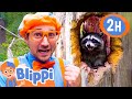 Animal Learning at the Wildlife Park 🦌 | BEST OF BLIPPI TOYS | Educational Videos for Kids