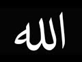 كانت لقلبي اهوء مفرقة 