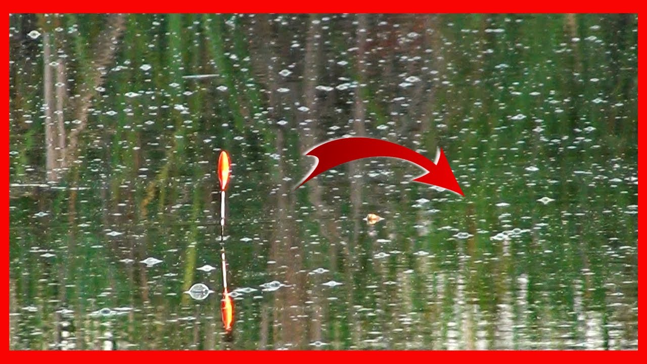 Extazul calatoriei si primul PESCUIT la PLUTA in Delta Dunarii