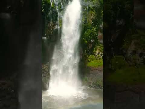 Video: Descripción y fotos de la cascada Skakavishki - Bulgaria: Kyustendil