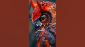 ماتيسر من سورة الحجرات