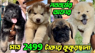 মাত্র 2499 টাকায় কুকুরছানা। Serampore Pet Market। Dog Market in Kolkata Price।