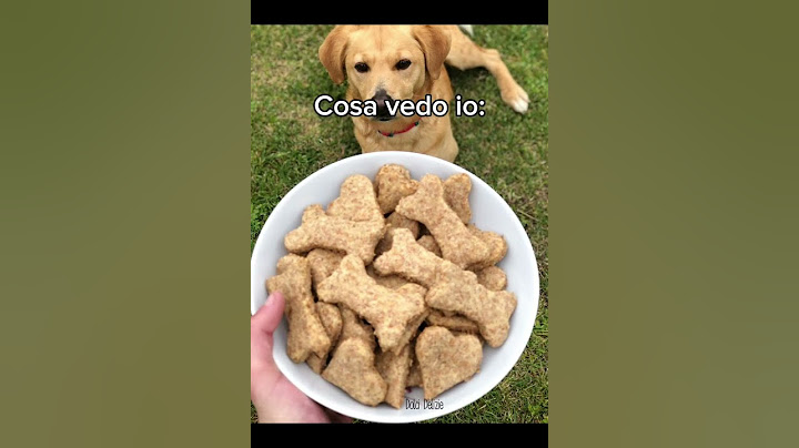 Cosa vedo io VS Cosa vede il mio cane. Voi avete un animale domestico? Iscrivetevi e lasciate like