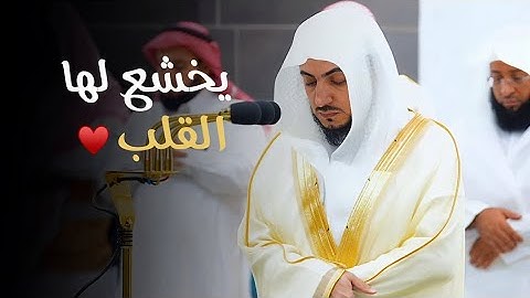 صلاة الفجر للشيخ الوليد الشمسان 4 ربيع الآخر 1446هـ - ماتيسر من سورة المائدة