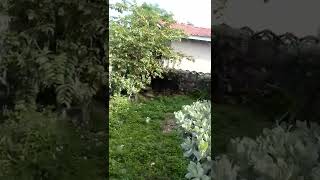 House 🏡 for sale in Portland Jamaica