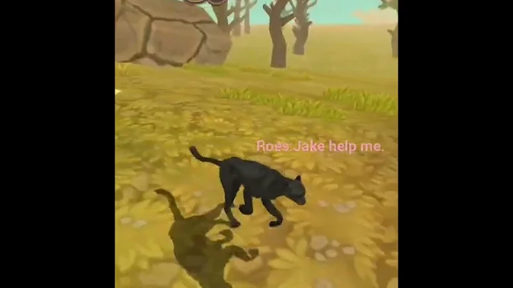 Wildcraft happy cheetahs story music video