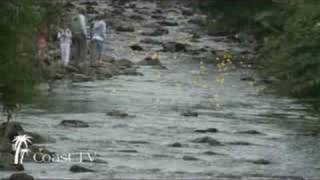 The Gogo Duck Race from Coast TV
