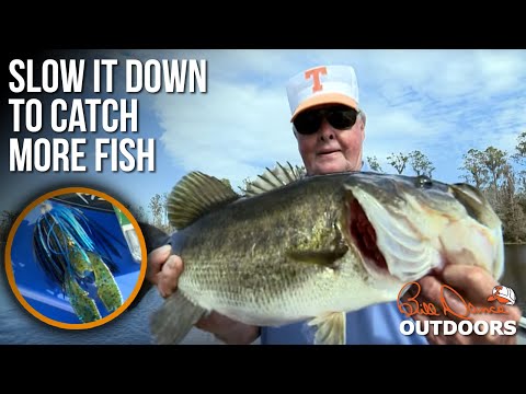 Bill Dance Outdoors - World Fishing Network