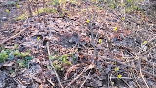 Видео Юра Гетьманець Ожп мне вас искренне жаль (автор: Юра Гетьманець)