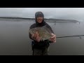 Washington State Razor Clam digging, Surfperch fishing