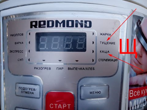 Video: Redmond multivarkında gecikmiş başlanğıc: xüsusiyyətlər, istifadə təlimatları və ekspert məsləhəti