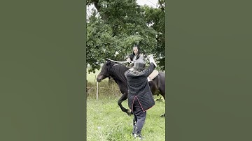 Vertical Downward Shamshir Cut at a Horizontal Left 90 Degrees #horsemanship