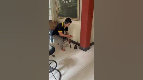 Dò tìm rò rỉ nước tại Tân Phú | Điện Nước Hưng Thịnh | #shorts