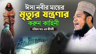 ঈসা নবীর মায়ের মৃত্যুর যন্ত্রণার করুন কাহিনী | মরিয়ম আঃ এর জীবনী