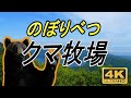 のぼりべつクマ牧場　4K の動画、YouTube動画。