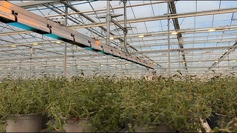 Crop Protection: CleanLight UV Booms for Environmentally-Friendly and Effective Pathogen Control