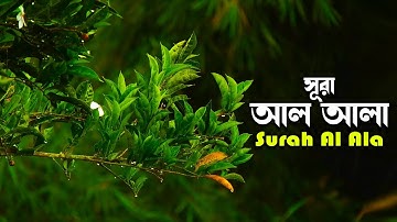 সূরা আল আলা বাংলা | سورة الأعلى | সুরেলা কণ্ঠের তেলাওয়াত | H Kamrul Hasan | মারকাযুল কুরআন মাদরাসা