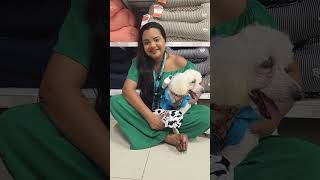 campanha do Agasalho @TVCOBASI #pets #petsfofinhos #dog #ajuda #gatos #shorts