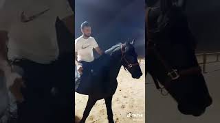 ركوب الخيل بدون سرج وعنان - خيال