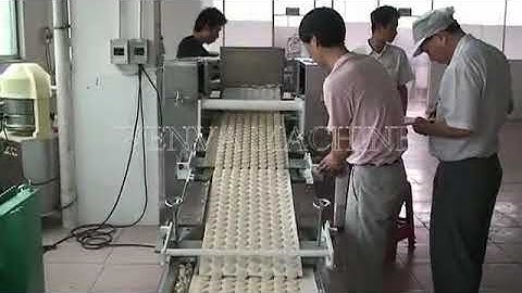 WENVA 400 Tray Type Soft Biscuit Rotary Moulder Machine