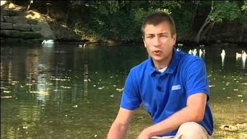 Avoid Weed N Feed (Austin, TX)