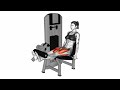 Lever Leg Extension – Build Stronger Quads & Improve Leg Definition