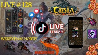 MS 220+ | WEREYENAS NORT | PROFIT RAPIDO! HUNTS! Live #128 #tibia #cipsoft #mmorpg #tibiaglobal