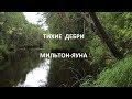 ТИХИЕ ДЕБРИ МИЛЬТОН-ЯУНА